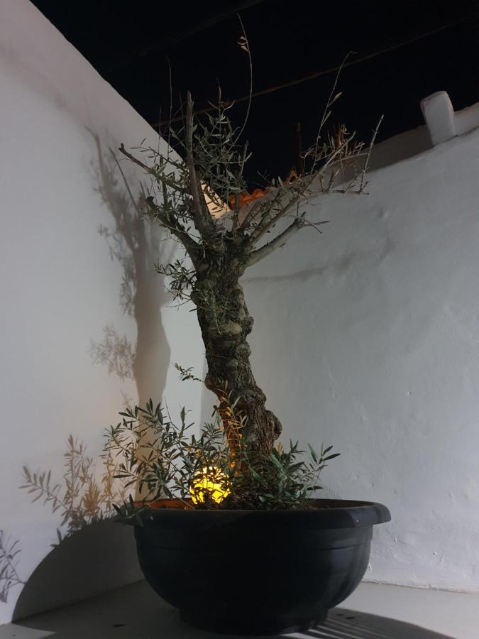 Casa Delaluz Villa Altea Kültér fotó